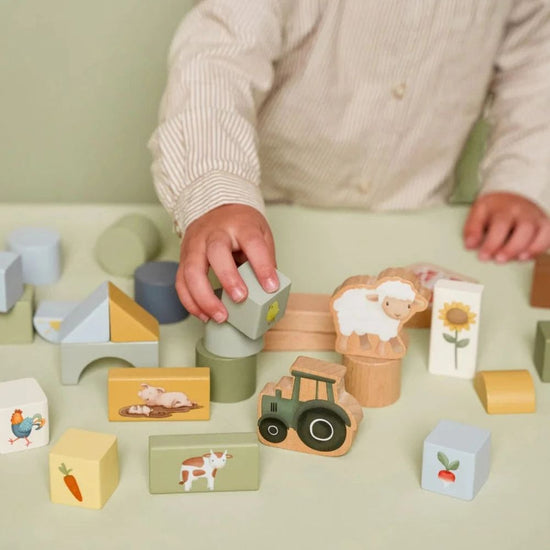 Little Farm Building Blocks