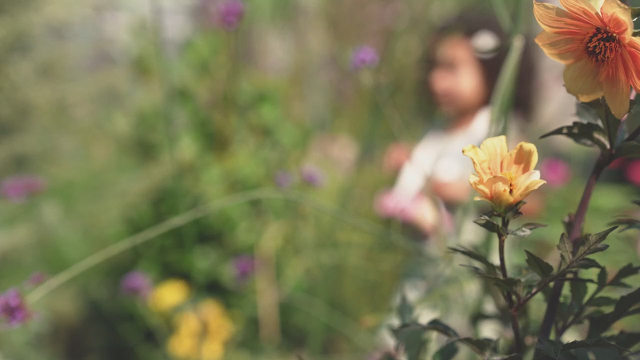 Binoculars - Fairy Garden