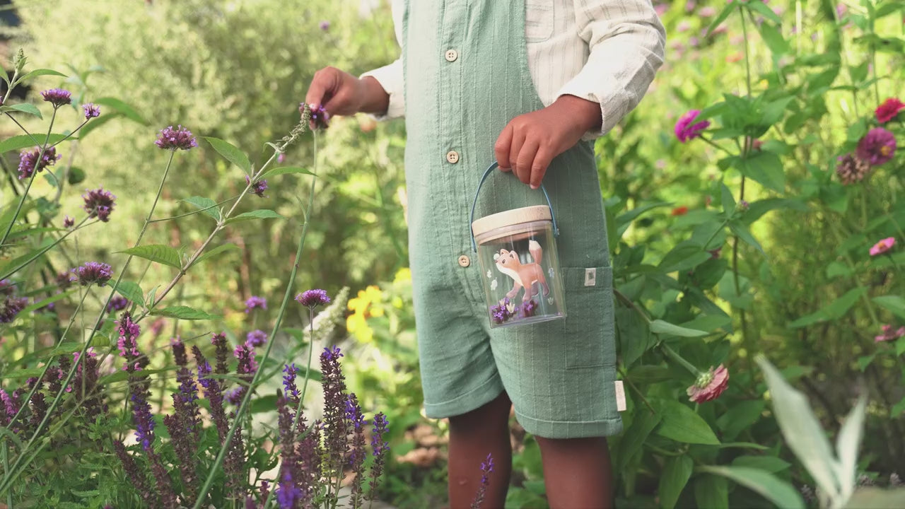 Insect jar - Forest Friends