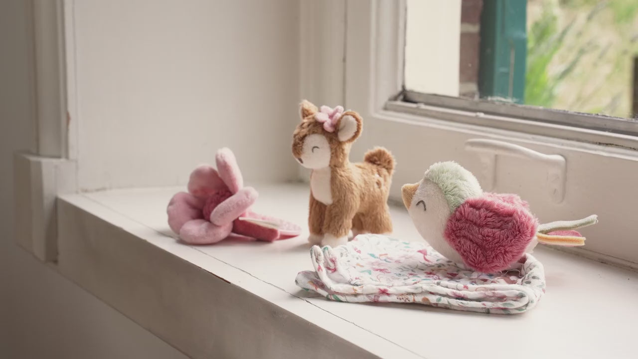 Fairy Garden Gift Box