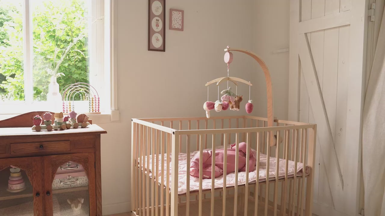 Music Mobile - Fairy Garden