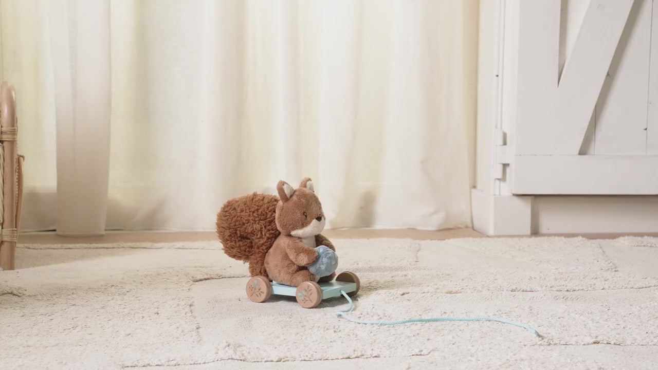 Pull Along Squirrel - Forest Friends