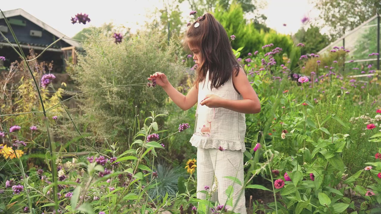 Insect jar - Fairy Garden