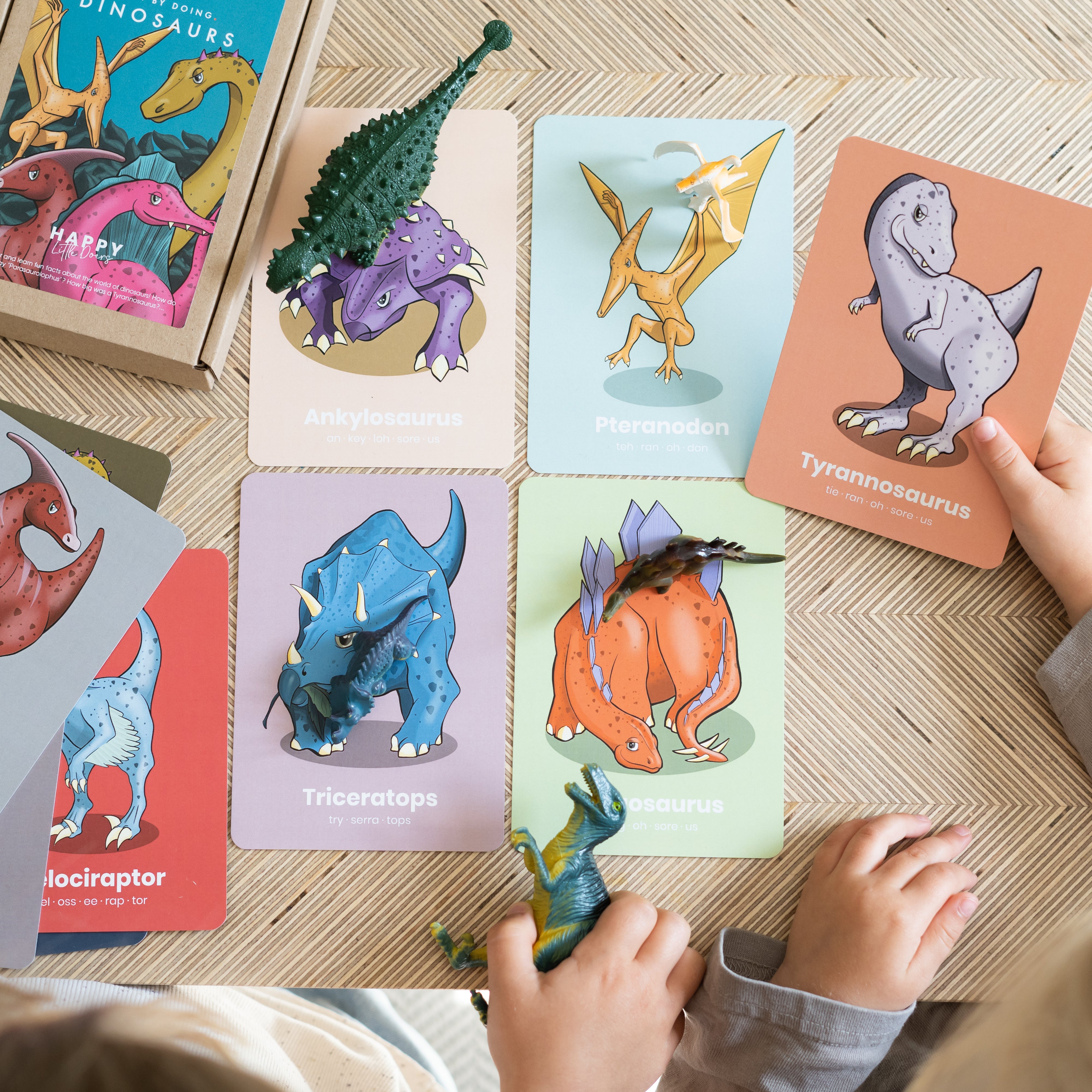 Learn Dinosaur Flashcards