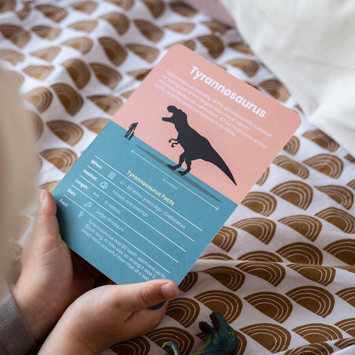 Learn Dinosaur Flashcards