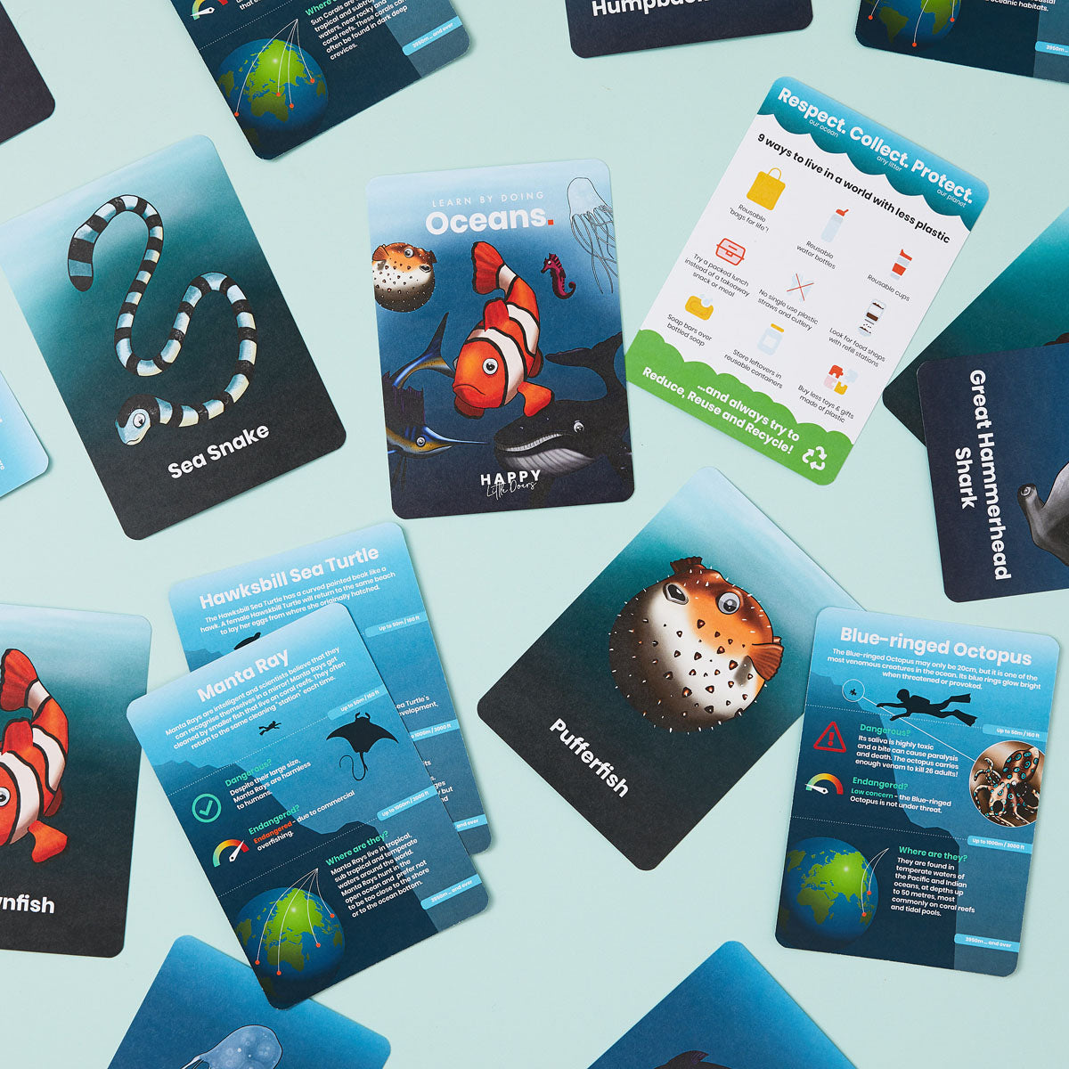 Learn Ocean Flashcards