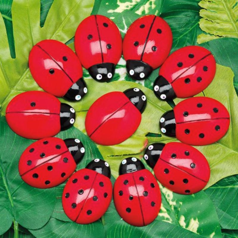 Ladybug Counting Stones