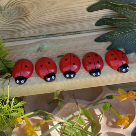 Ladybug Counting Stones