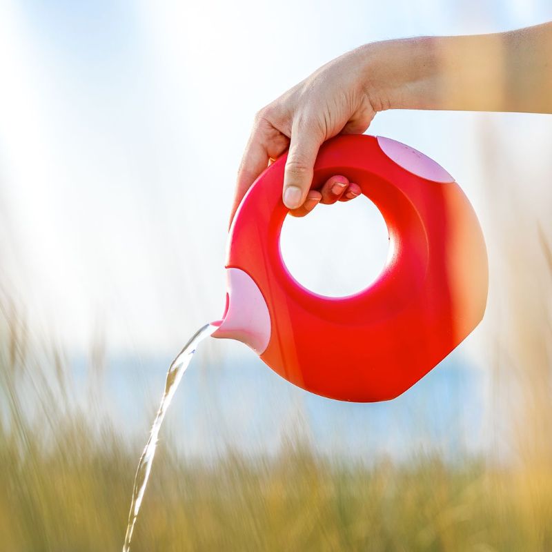 Cana Large Watering Can - Cherry