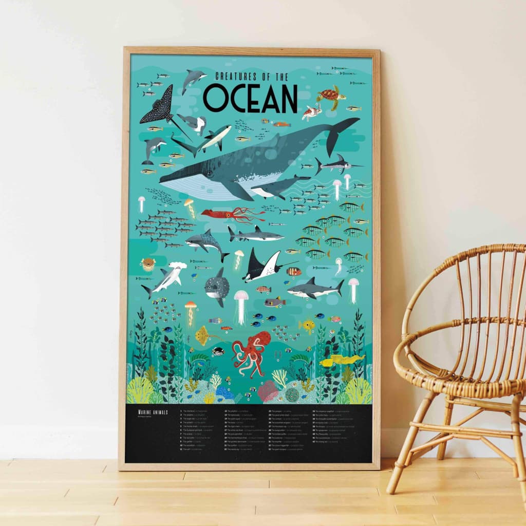 Poppik Animals Of The Ocean Discovery Poster