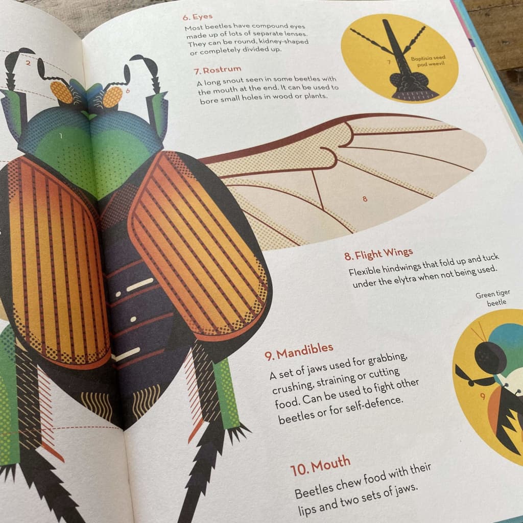 Books Bonkers About Beetles