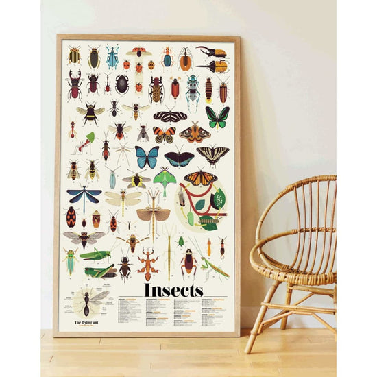 Poppik Insects Discovery Poster